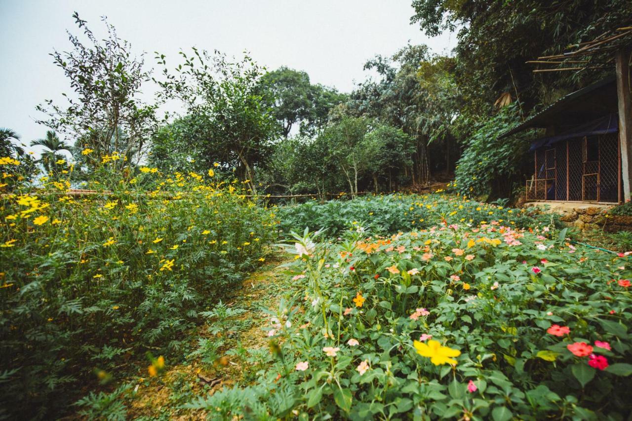 Bavi Homestead Ba Vi Exterior foto